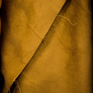 Corduroy