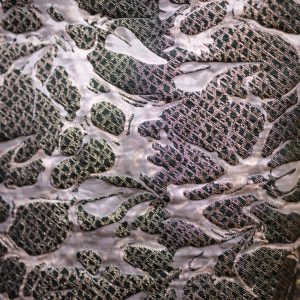 Brocade